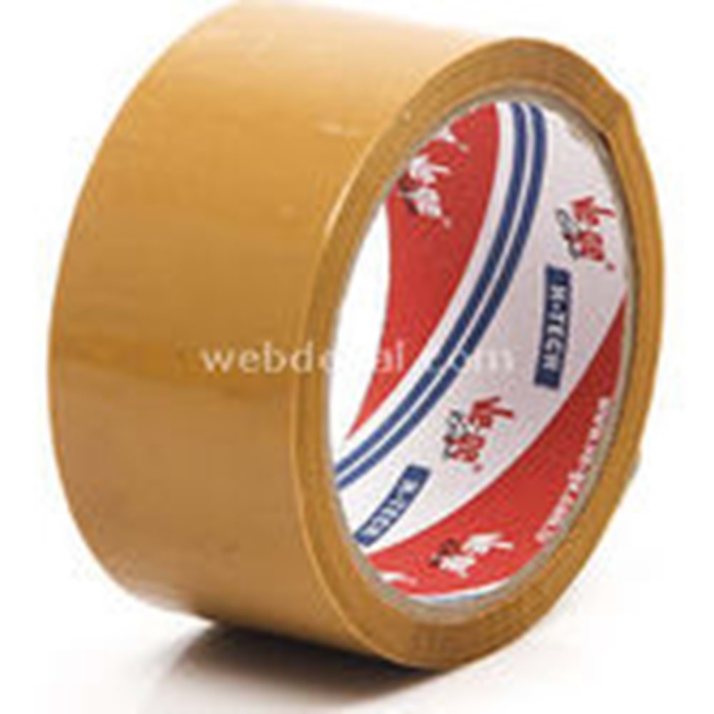 VEGE KOLİ BANTI 45X40 MT TABA